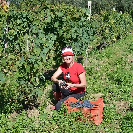 Villa Casa Martin , 4 Bedroom *