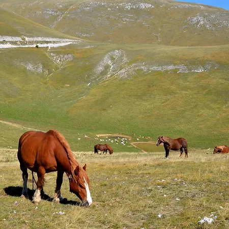 Villa Casa Martin , 4 Bedroom *