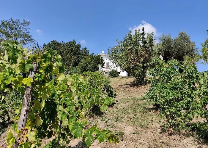 Casa Martin , 4 Bedroom Willa *