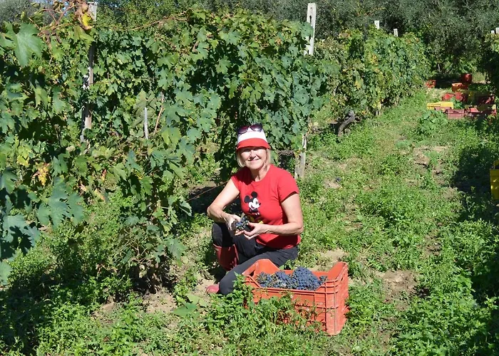 Villa Casa Martin , 4 Bedroom *