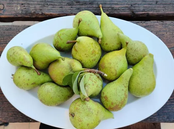 Villa Casa Martin , 4 Bedroom *