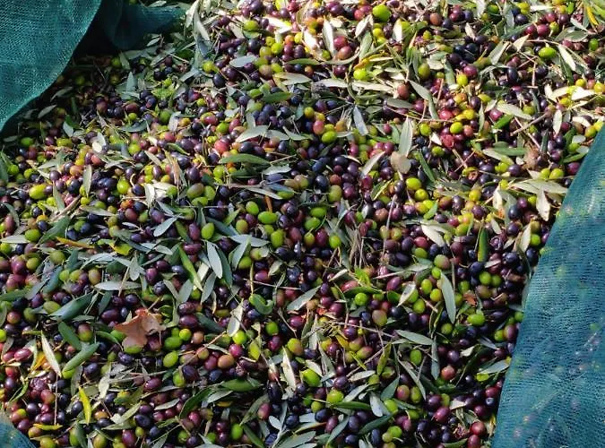 Casa Martin , 4 Bedroom *